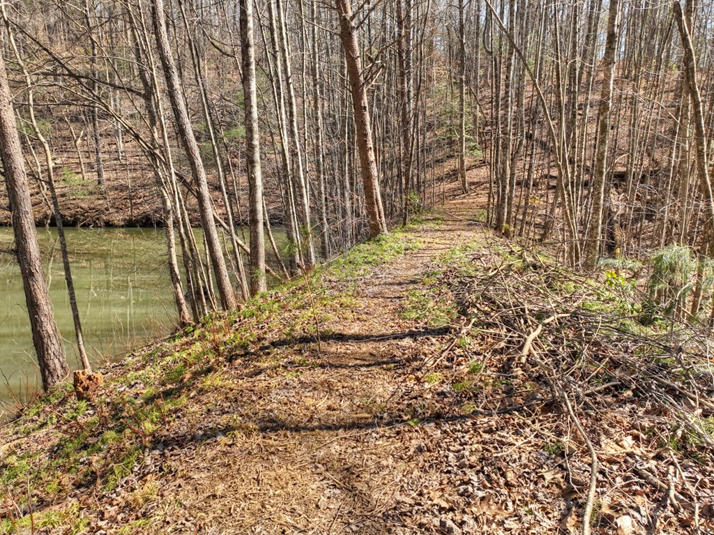 638 Cohutta Mountain Road Blue Ridge, GA 30513 - Photo 47 of 62
