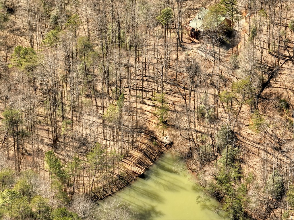 638 Cohutta Mountain Road Blue Ridge, GA 30513 - Photo 50 of 62