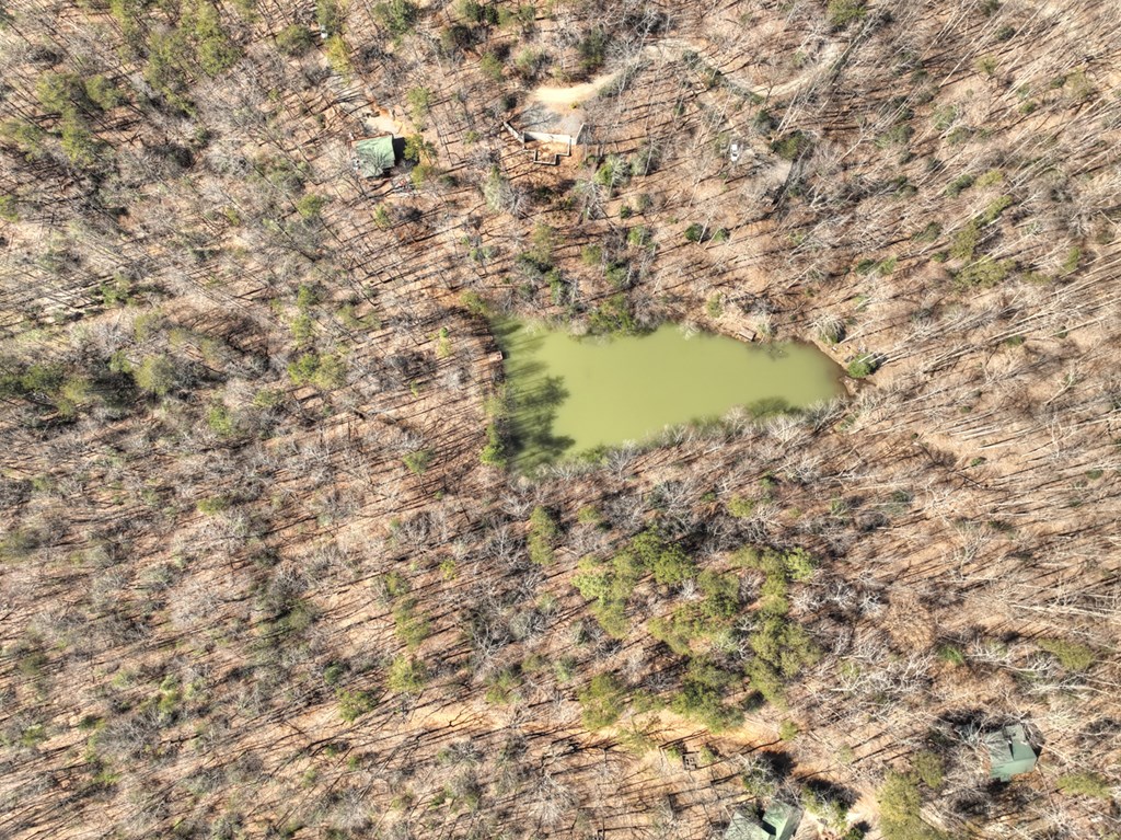 638 Cohutta Mountain Road Blue Ridge, GA 30513 - Photo 51 of 62