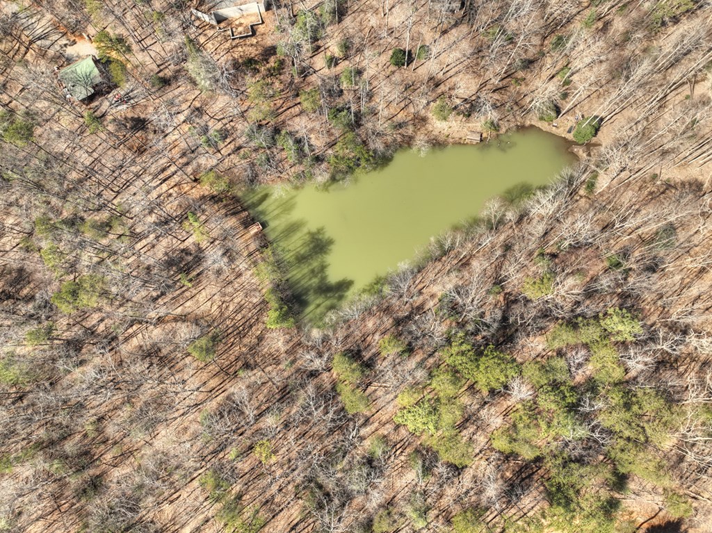 638 Cohutta Mountain Road Blue Ridge, GA 30513 - Photo 52 of 62