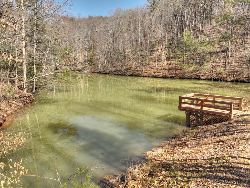 638 Cohutta Mountain Road Blue Ridge, GA 30513 - Photo 6 of 62