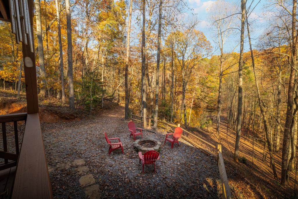 638 Cohutta Mountain Road Blue Ridge, GA 30513 - Photo 61 of 62