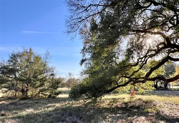 a view of a yard with a tree