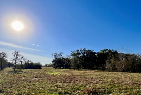 a view of dirt field with trees