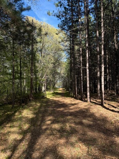 3 County Road 3 Merrifield, MN 56465 - Photo 20 of 36