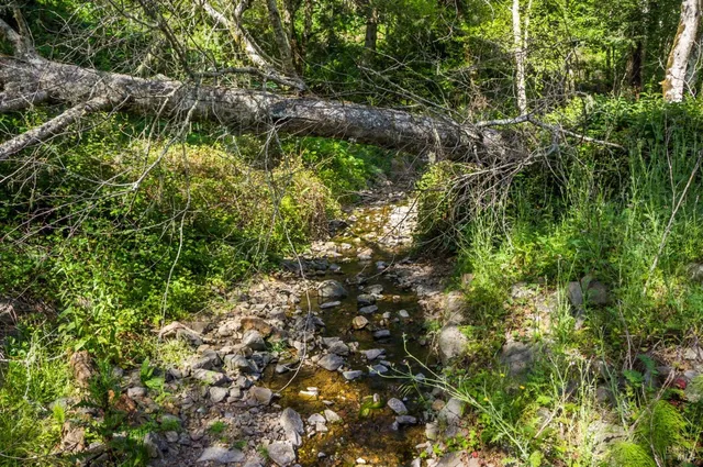 $10,900,000 | 16401 Highway 1, Manchester, CA 95459