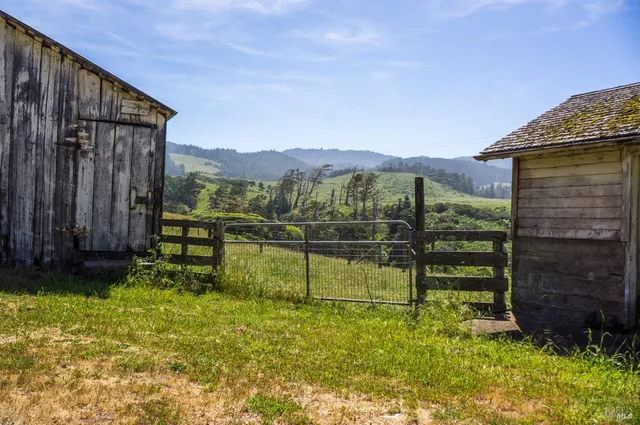 a view of a backyard with a garden