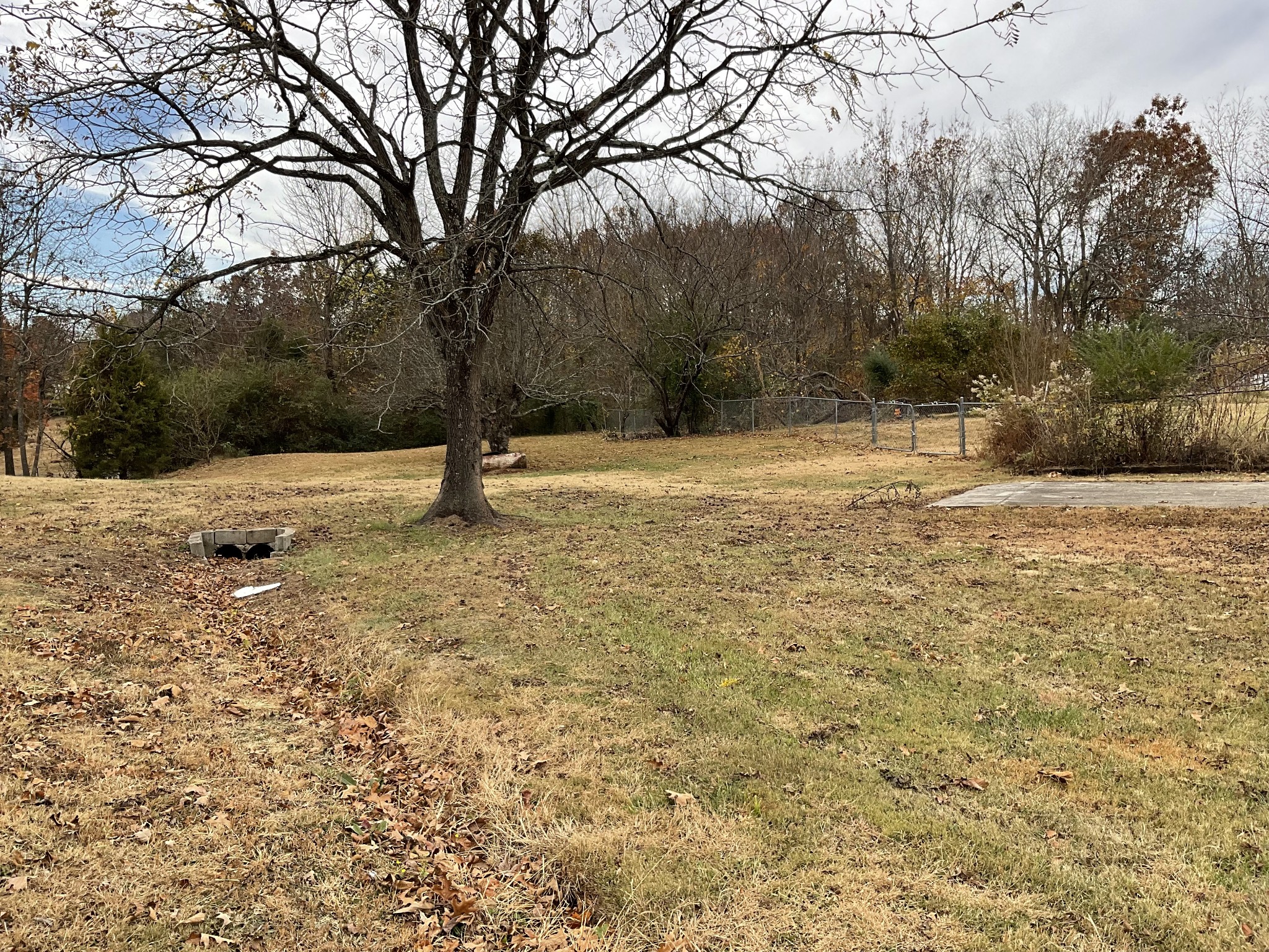 167 Dripping Springs Street Crofton, KY 42217 - Photo 25 of 30 a backyard of a house with large trees