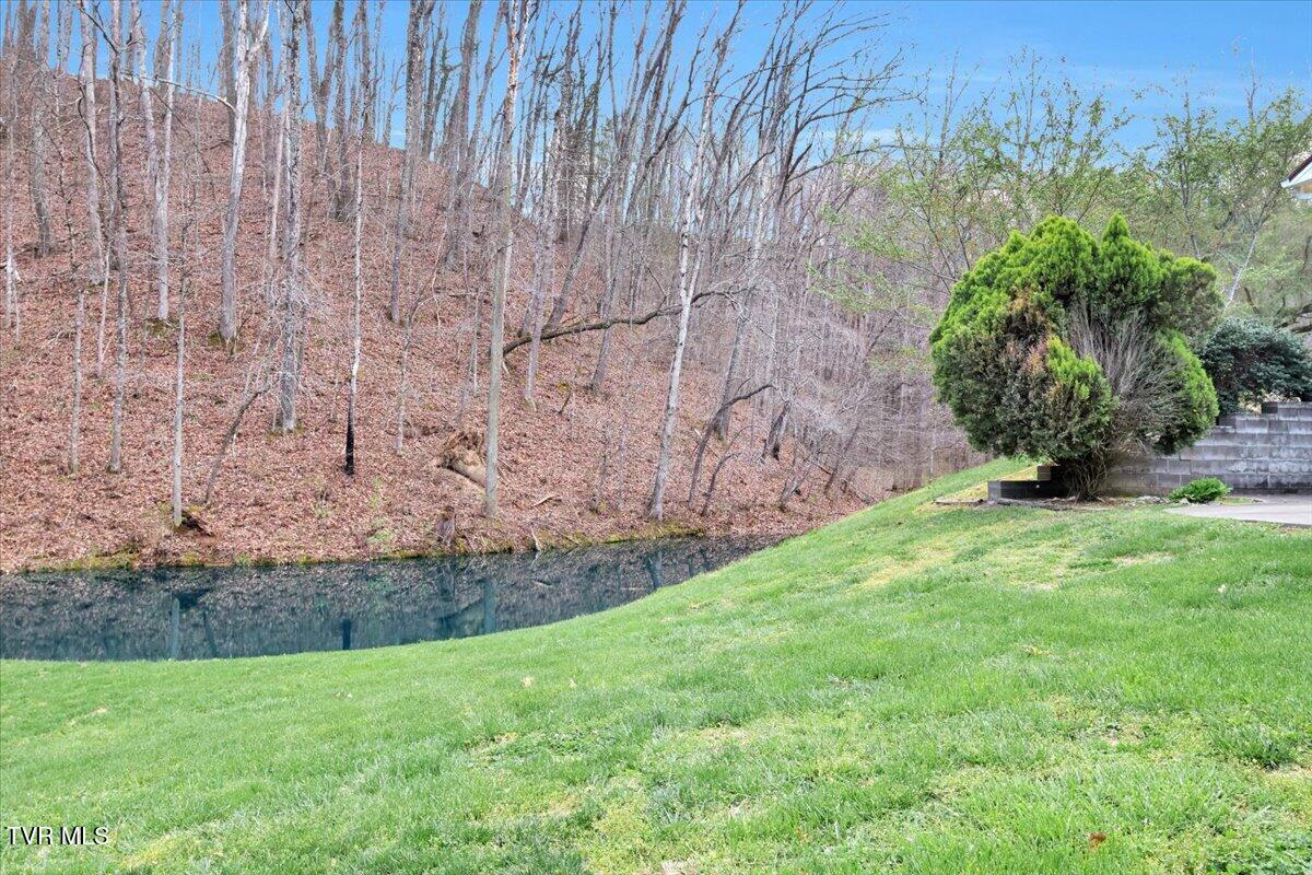 1296 Mountain View Road Rogersville, TN 37857 - Photo 34 of 48 37-IMG_4137