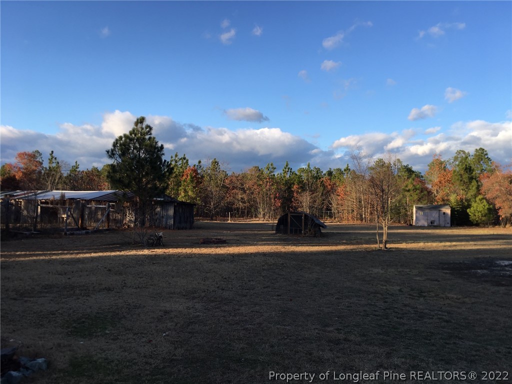 476 Thunder Road Pinebluff, NC 28373 - Photo 28 of 50 Gallery Image 28