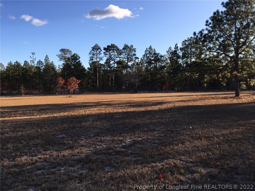 476 Thunder Road Pinebluff, NC 28373 - Photo 3 of 50 Gallery Image 3
