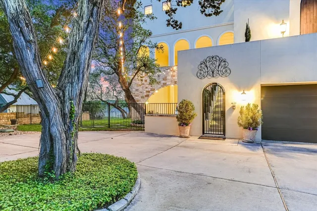 a view of a garden with a tree