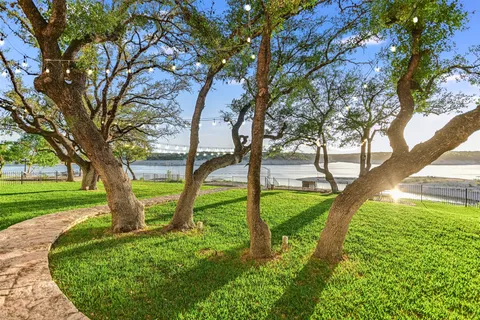 a view of a garden with a tree
