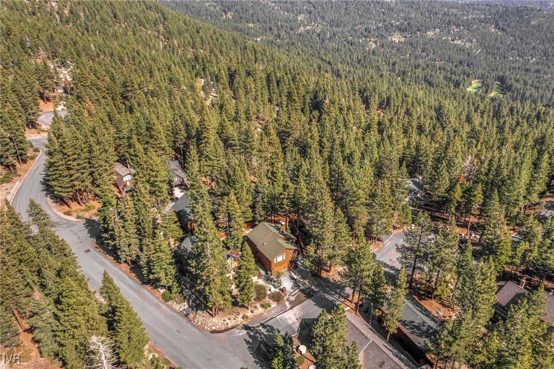 756 Judith Court Incline Village, NV 89451 - Photo 40 of 49 Aerial