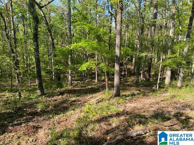 1721 Westover Road, Unit 1 Sterrett, AL 35147 - Photo 6 of 9