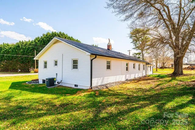 a view of a backyard with plants and large tree
