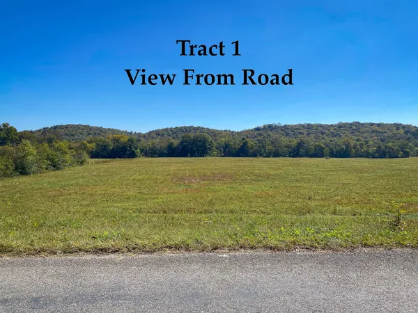 a view of a field with an ocean view