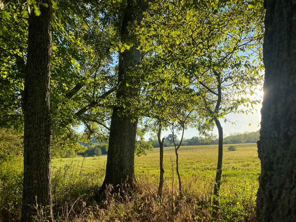 a view of an ocean view