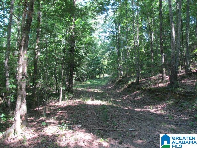 0 Choctaw Trail, Unit 10 Hayden, AL 35079 - Photo 8 of 24