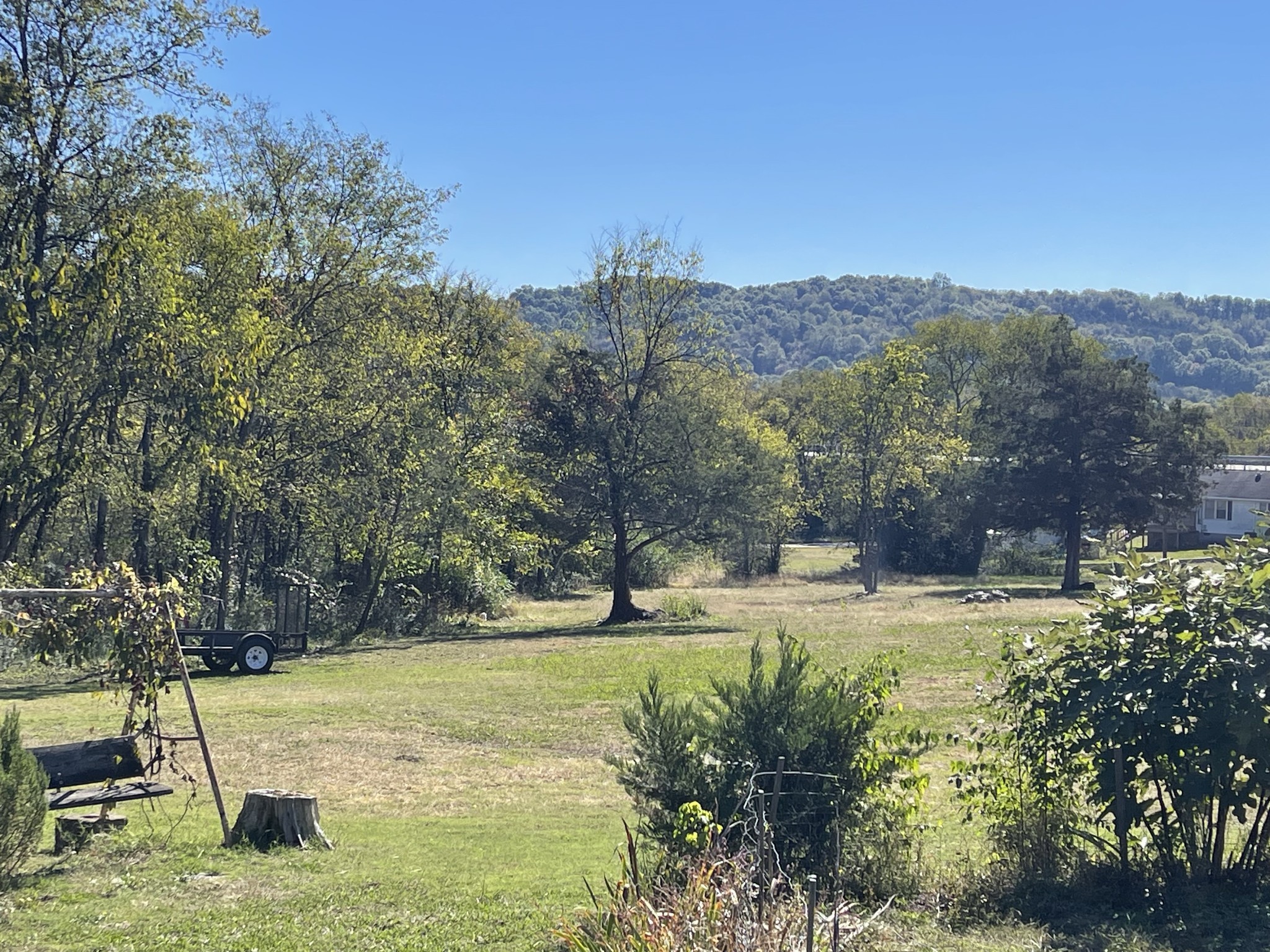 21 Cedar Lane Mulberry, TN 37359 - Photo 13 of 22 a view of a yard with plants