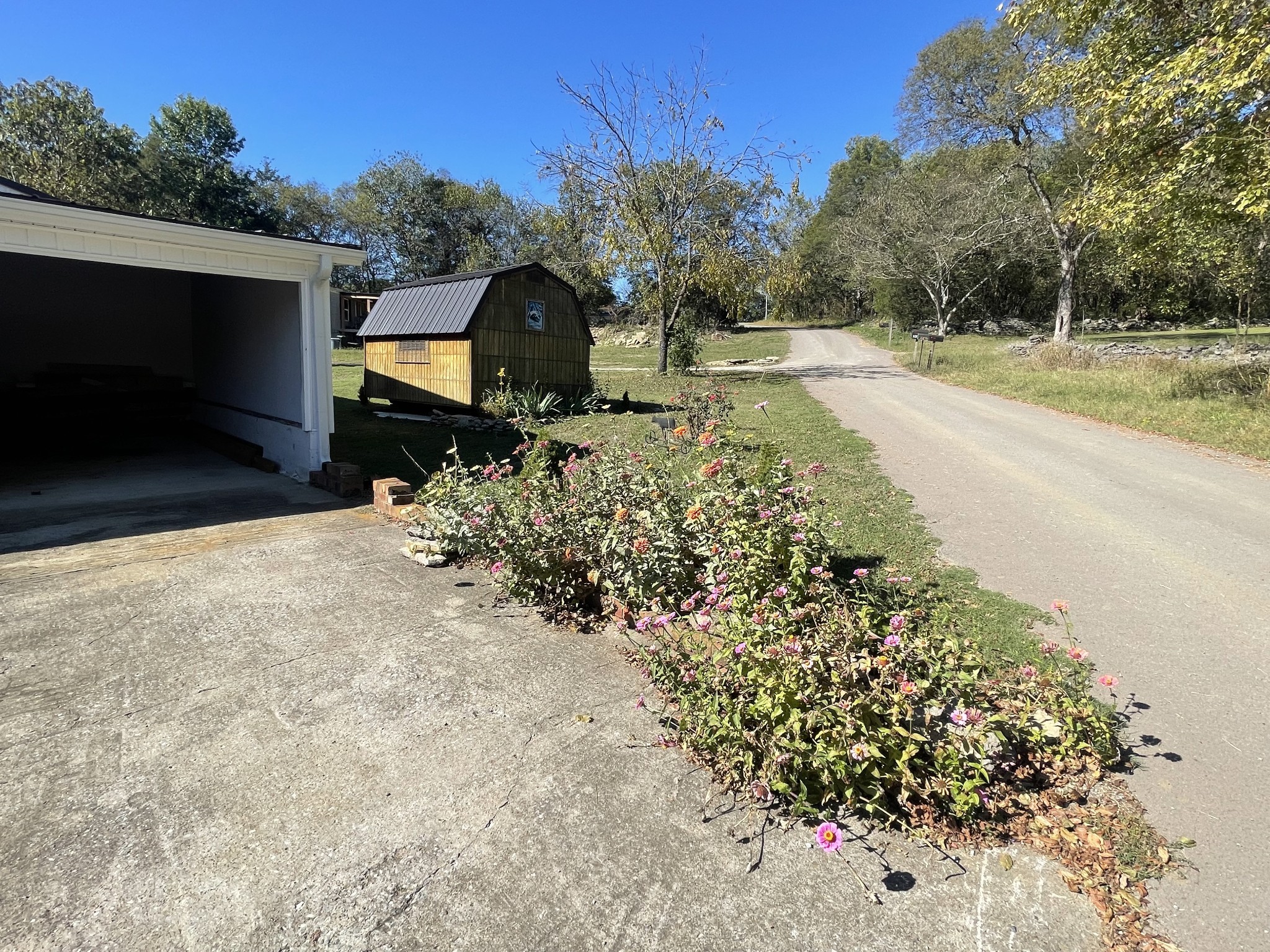 21 Cedar Lane Mulberry, TN 37359 - Photo 16 of 22 a view of a yard with tiny trees