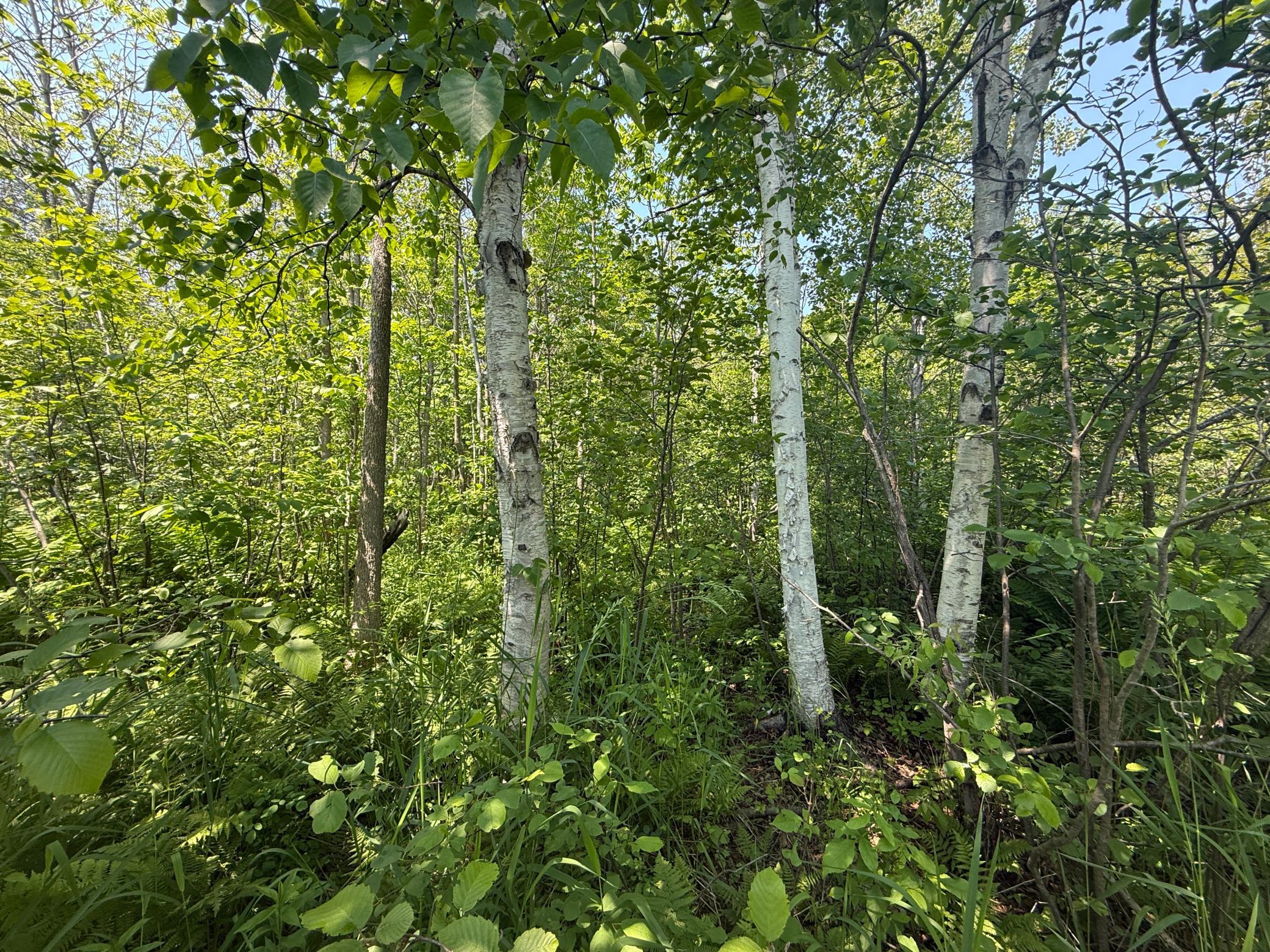 Two Scenic Drive Two Harbors, MN 55616 - Photo 6 of 26
