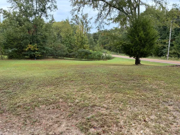 a view of a field with an trees