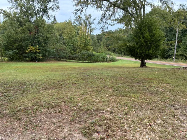 a view of a field with an trees