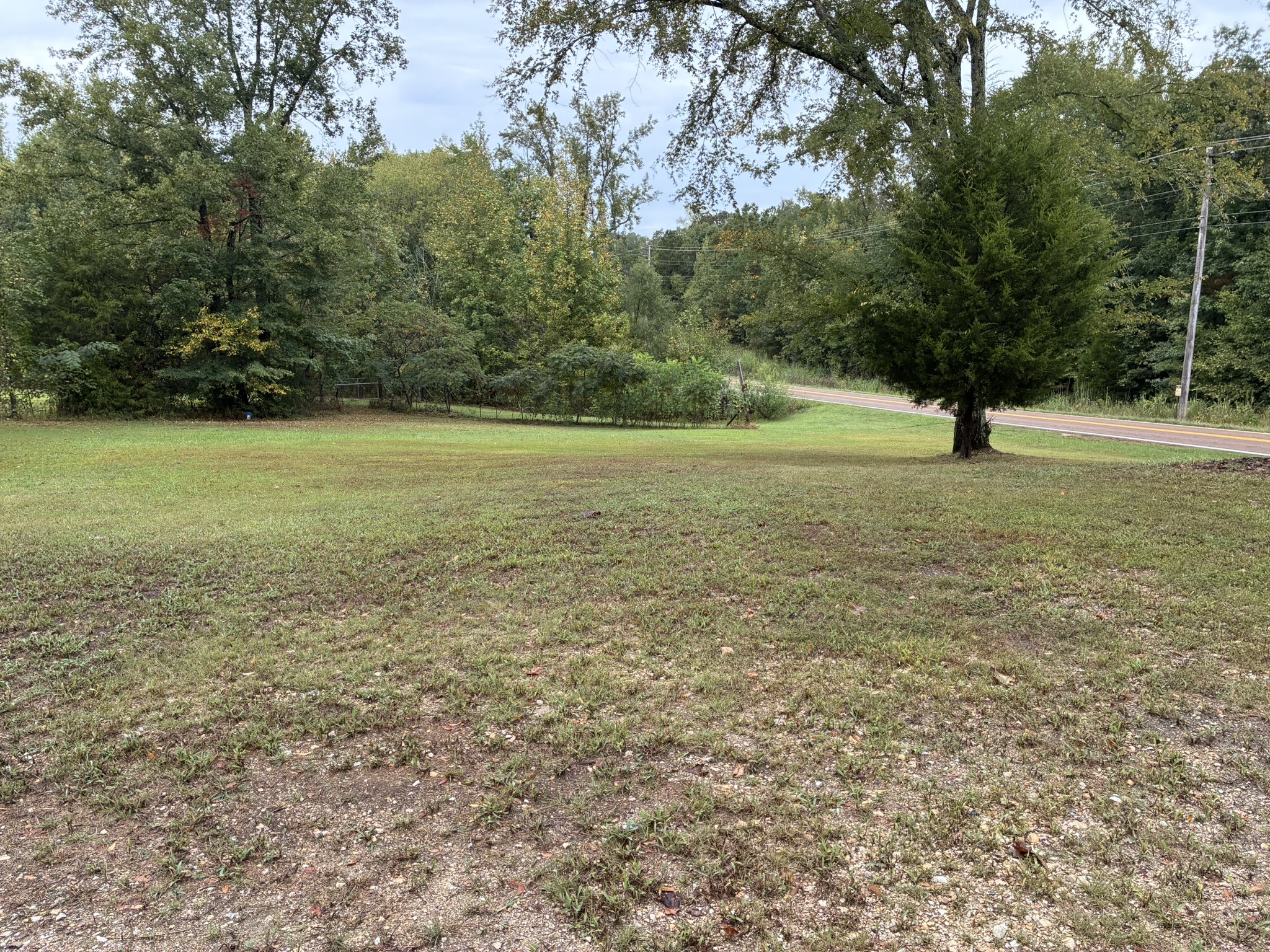 a view of a field with an trees