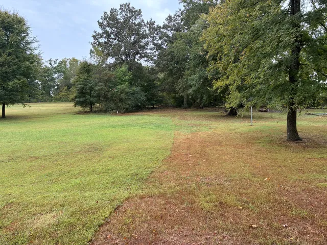 a view of a field with trees in the background