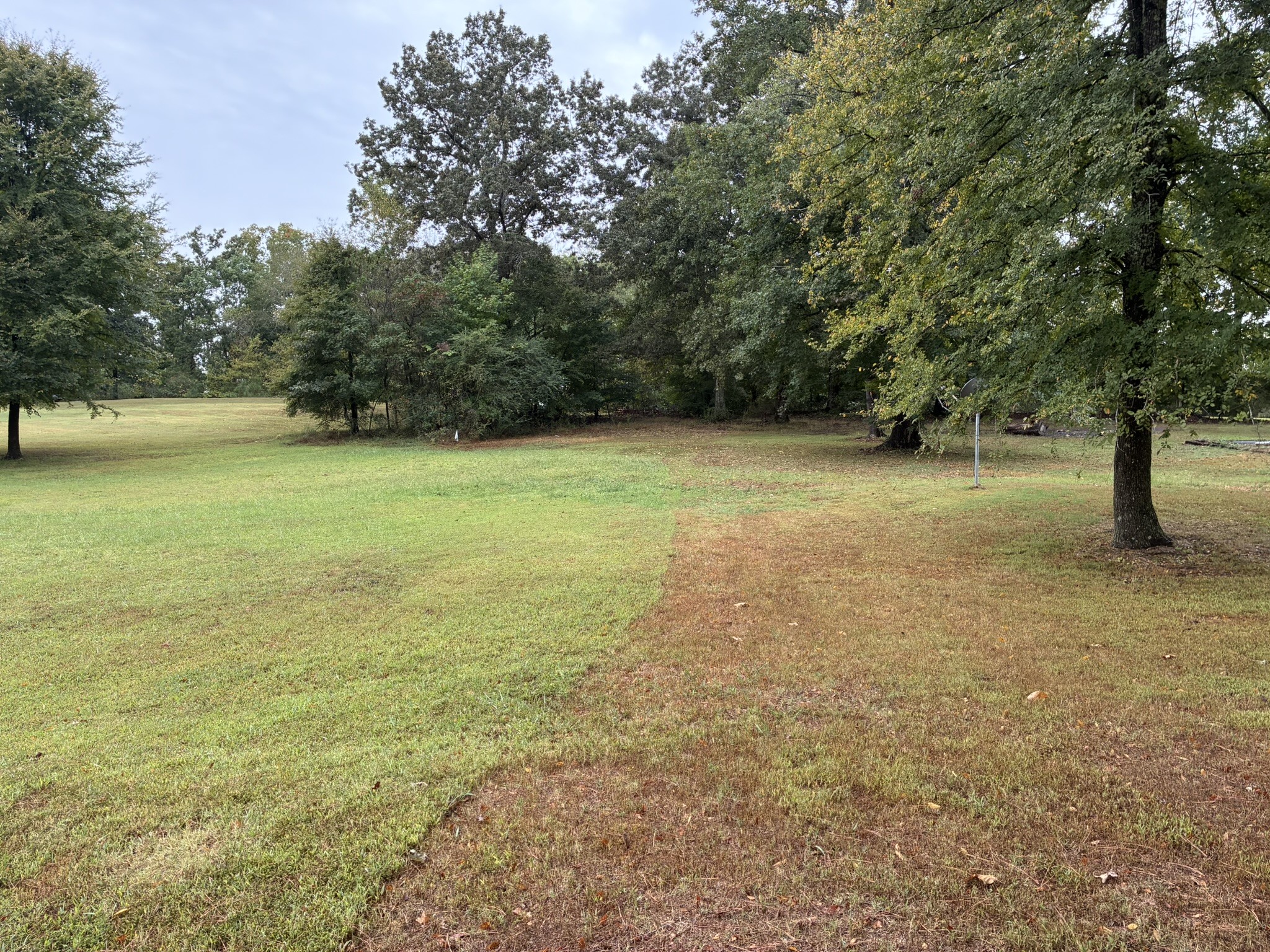 2765 Birdsong Road Camden, TN 38320 - Photo 2 of 18 a view of a field with trees in the background