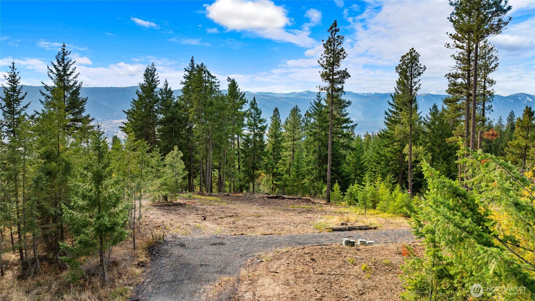 39 Forest Ridge Drive Cle Elum, WA 98922 - Photo 11 of 20 Gallery Image 11