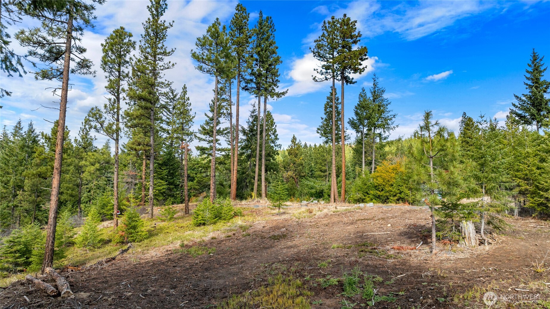 39 Forest Ridge Drive Cle Elum, WA 98922 - Photo 12 of 20 Gallery Image 12