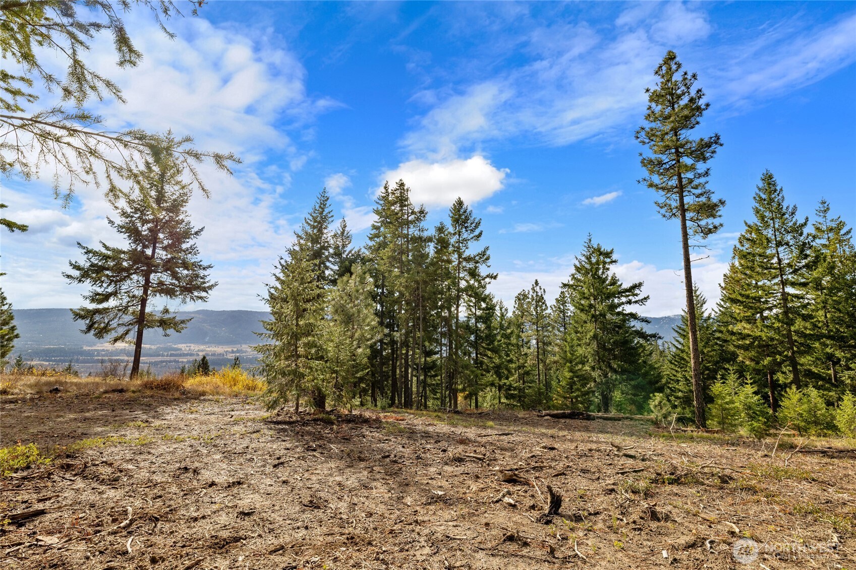 39 Forest Ridge Drive Cle Elum, WA 98922 - Photo 13 of 20 Gallery Image 13