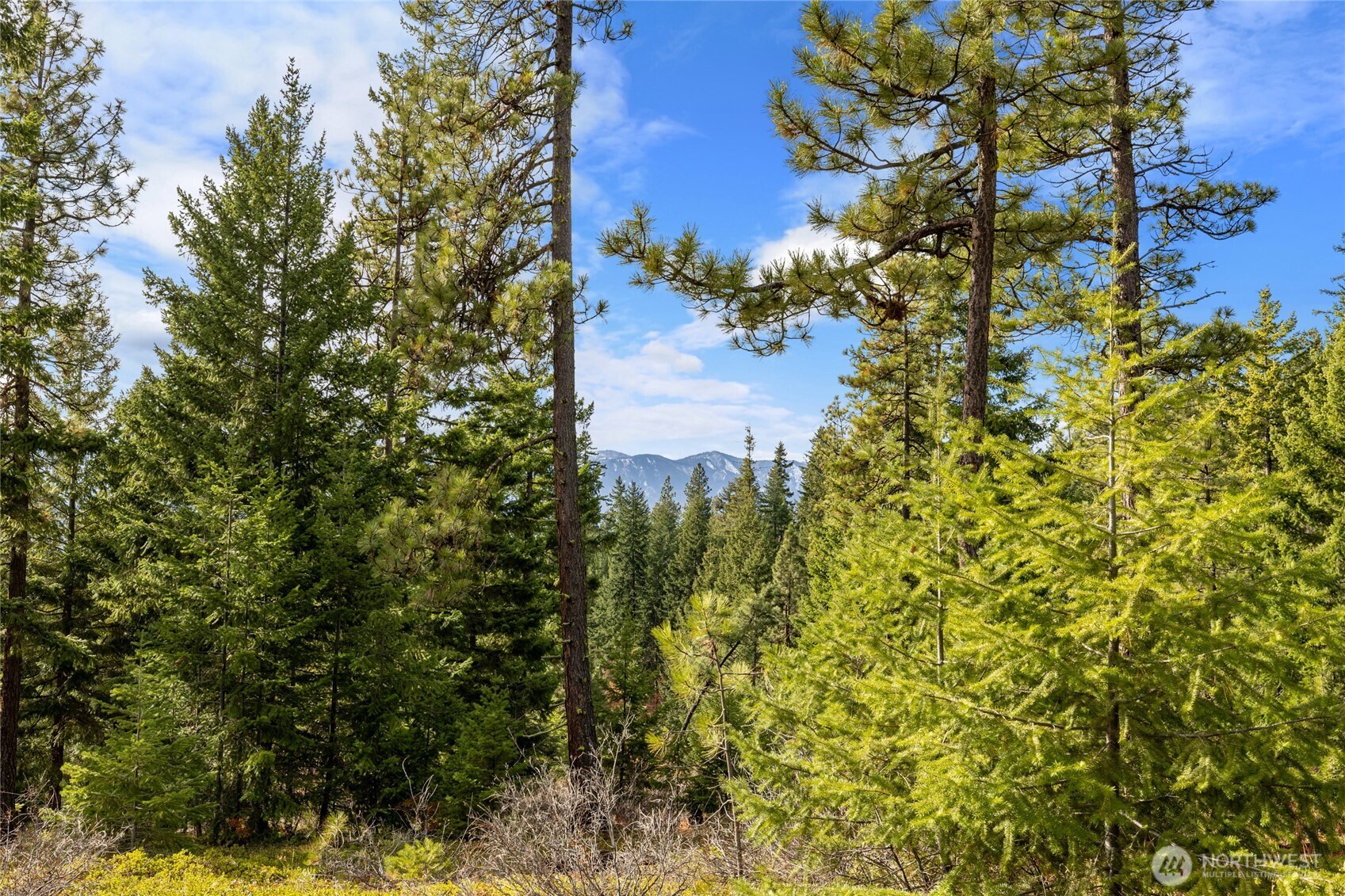 39 Forest Ridge Drive Cle Elum, WA 98922 - Photo 16 of 20 Gallery Image 16