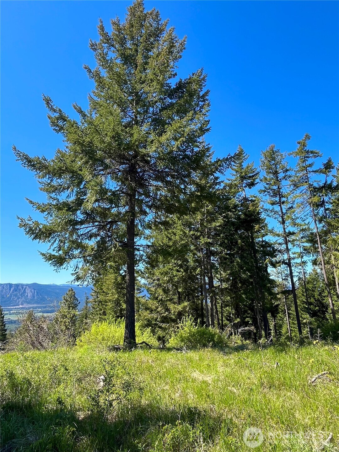 39 Forest Ridge Drive Cle Elum, WA 98922 - Photo 18 of 20 Gallery Image 18