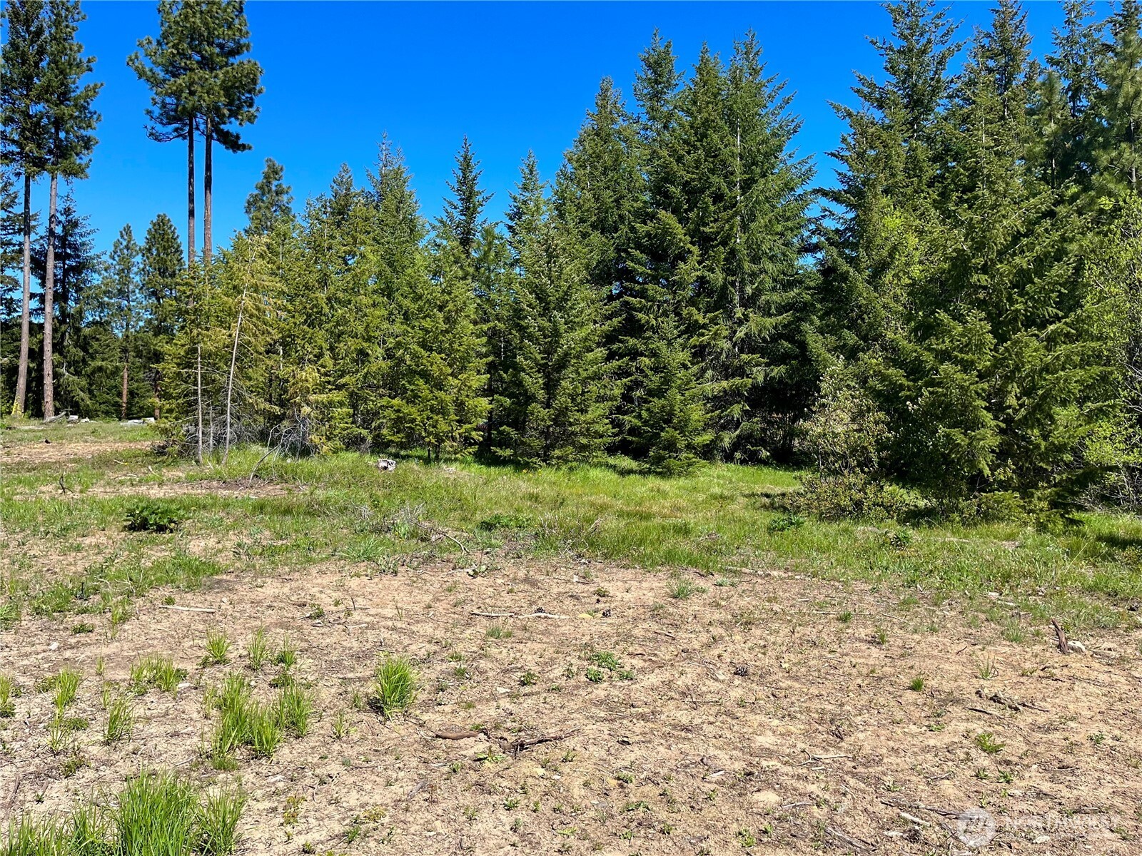 39 Forest Ridge Drive Cle Elum, WA 98922 - Photo 20 of 20 Gallery Image 20