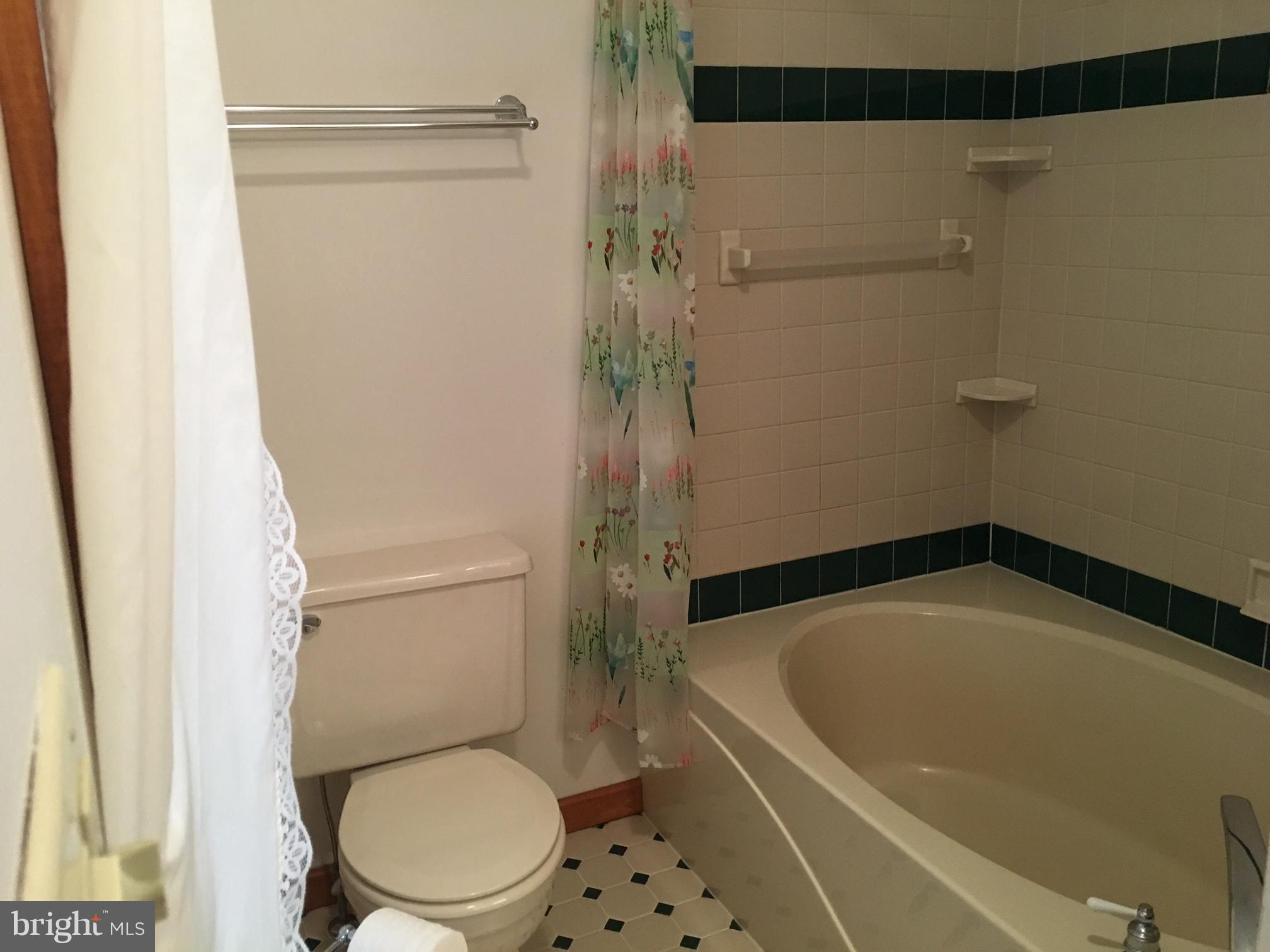 8029 Lofty Height Road Waynesboro, PA 17268 - Photo 15 of 30 has heated floors, soaking tub/shower