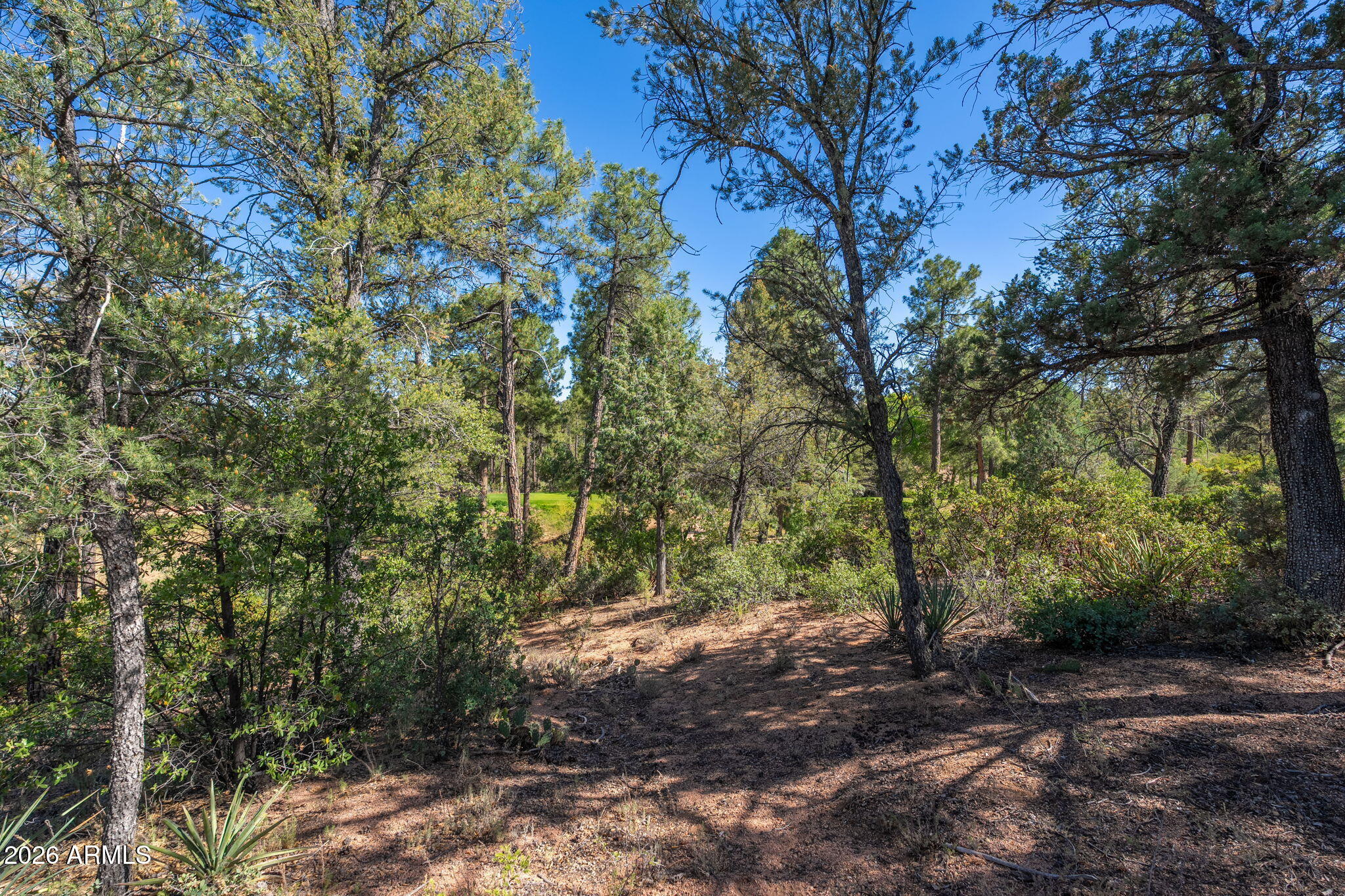 506 South Primeval, Unit 79 Payson, AZ 85541 - Photo 33 of 48 506 S Primeval - 31