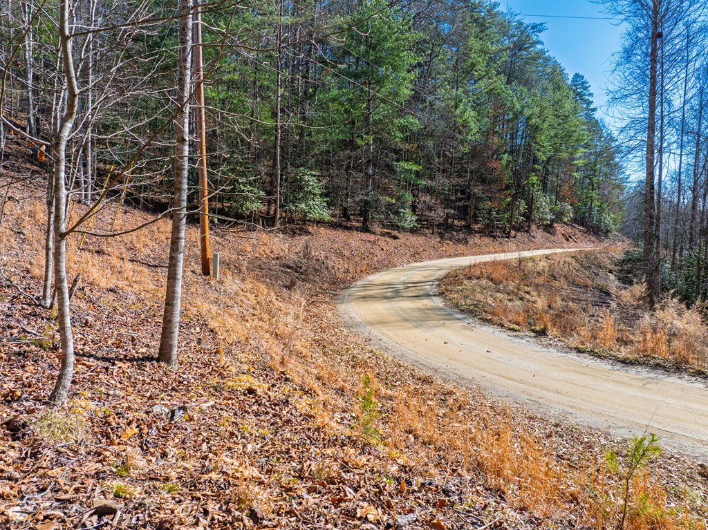 Lot 7 Daybreak Boulevard Murphy, NC 28906 - Photo 12 of 19 a view of a yard with plants and trees