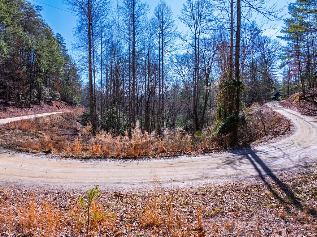 Lot 7 Daybreak Boulevard Murphy, NC 28906 - Photo 13 of 19 a view of a yard with trees