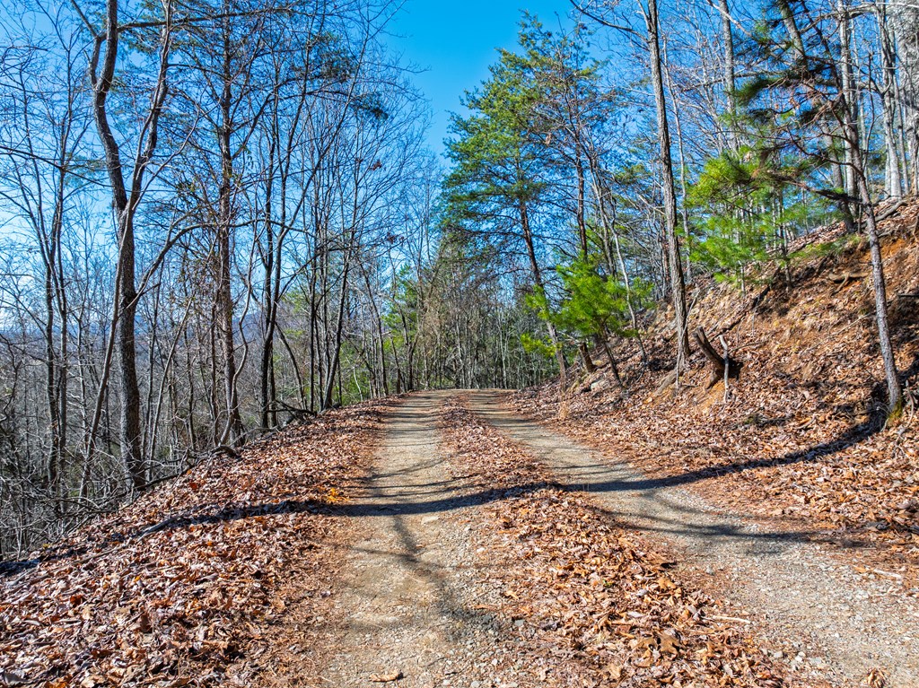 Lot 7 Daybreak Boulevard Murphy, NC 28906 - Photo 14 of 19 a view of a yard with trees