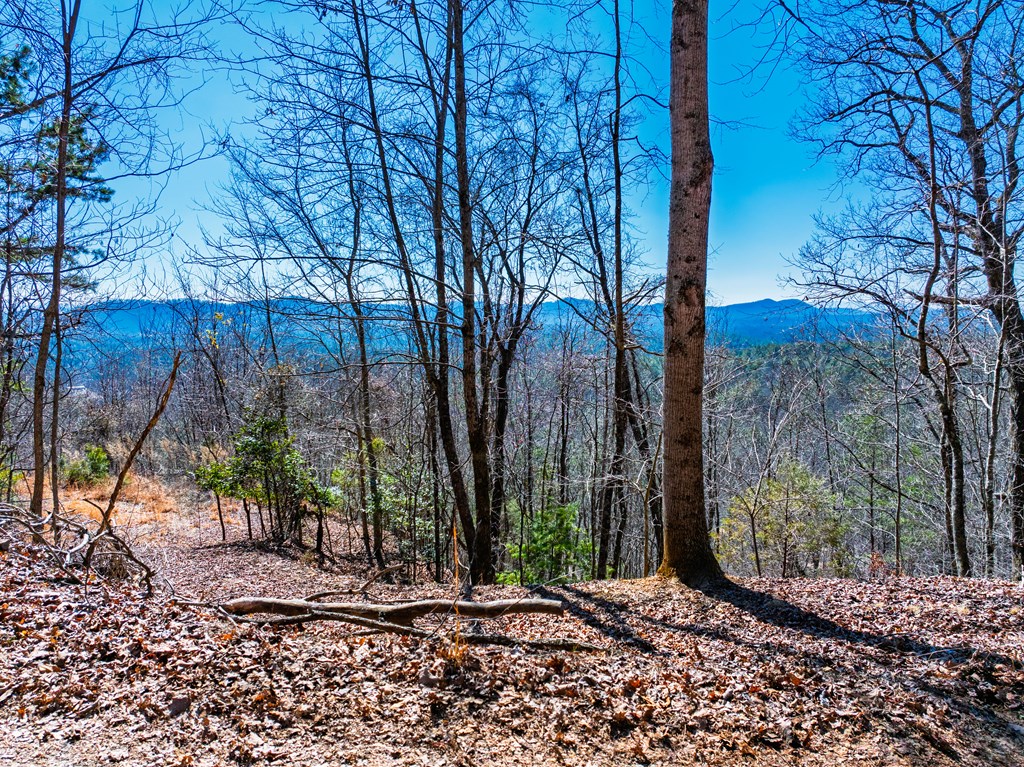 Lot 7 Daybreak Boulevard Murphy, NC 28906 - Photo 3 of 19 a view of a backyard with large trees