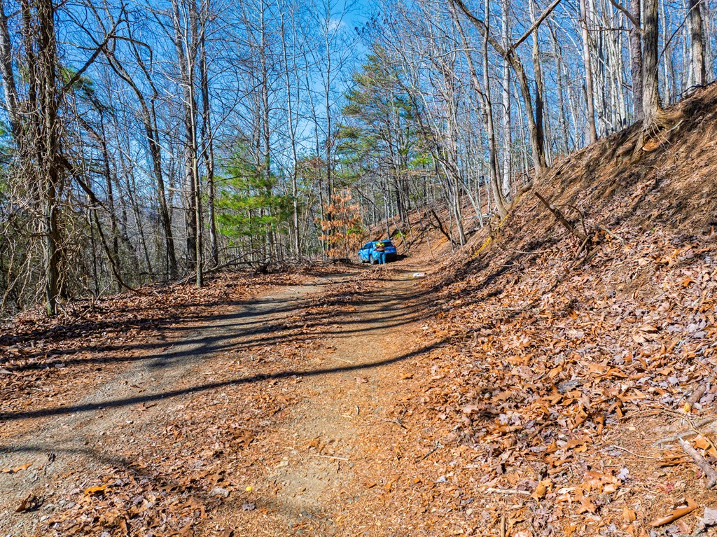 Lot 7 Daybreak Boulevard Murphy, NC 28906 - Photo 5 of 19 a view of a yard with large trees