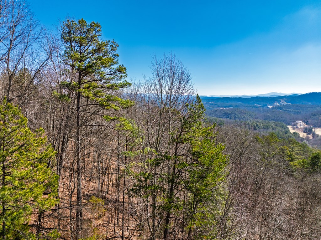 Lot 7 Daybreak Boulevard Murphy, NC 28906 - Photo 9 of 19 a view of a plants with a tree