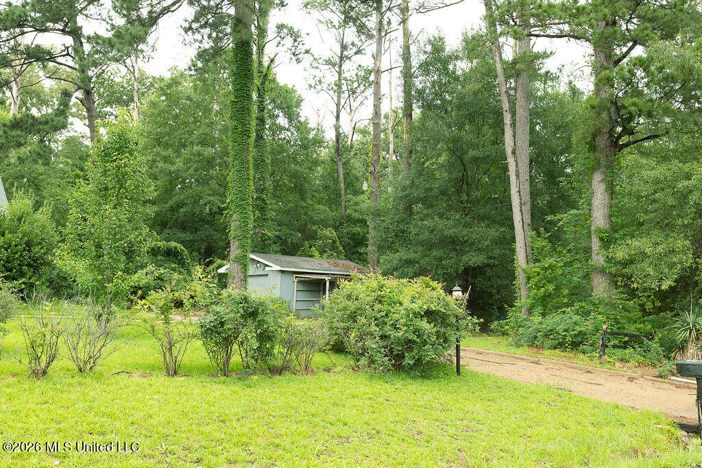 6450 Manship Road Brandon, MS 39047 - Photo 6 of 14 BH26_Manship_01--8