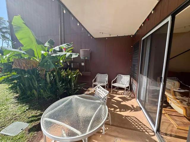 a plant is in front of the house