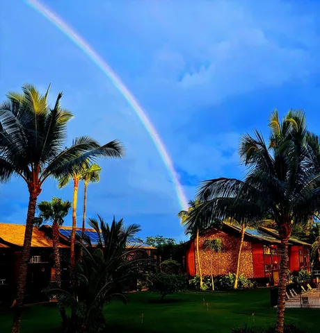 a view of outdoor space yard and patio