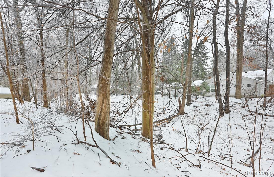 23685 Beech Road Southfield, MI 48033 - Photo 26 of 26 backyard3.jpg