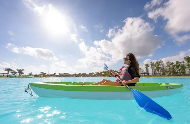 a view of a park with large trees